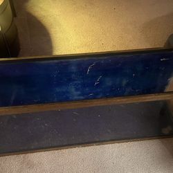 55 Gallon Aquarium