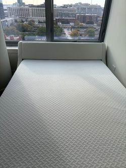 Bed and Mattress