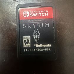 Nintendo Switch Skyrim 