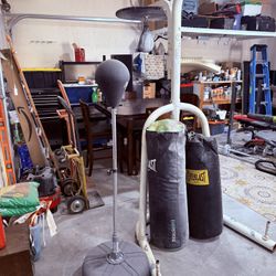 Punching Bag Stand With Two Punching Bags