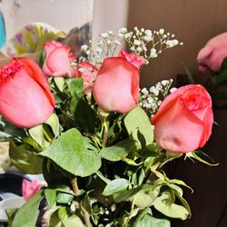 rose