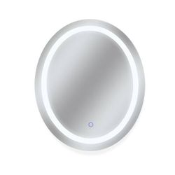 30 in. W x 36 in. H Frameless Oval LED Light Bathroom Vanity Mirror