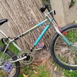 Out School Diamond Back 20 Inch 