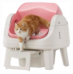 cat litter box