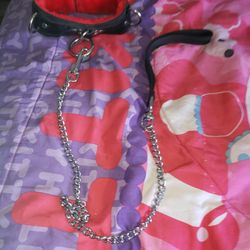 Dog Collar