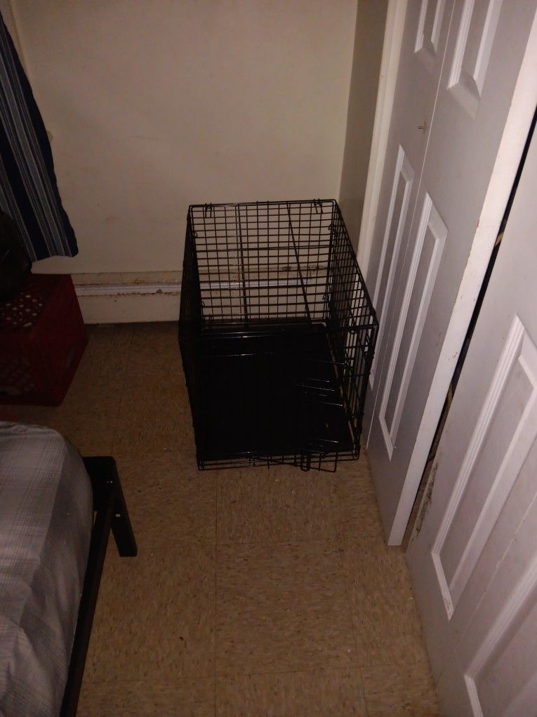 Dog Kennel