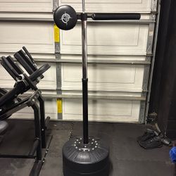 Punching Speed Bag 