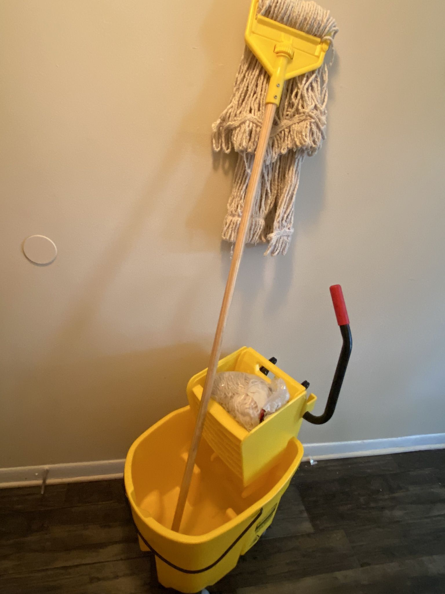 Cleaning Bucket With Mop