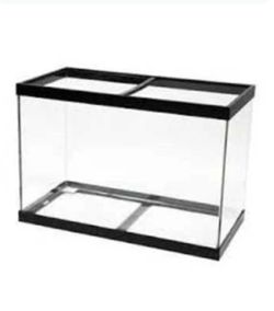65 gallon fish tank w/ seachem filter