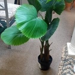 New Artificial Silk Tree Looks Real High 