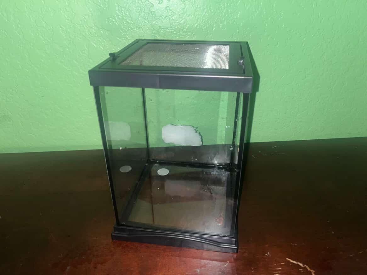 Terrarium (8.5x8.5x11.75)in