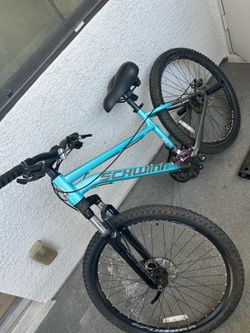Mountain Bike (front tire flat )