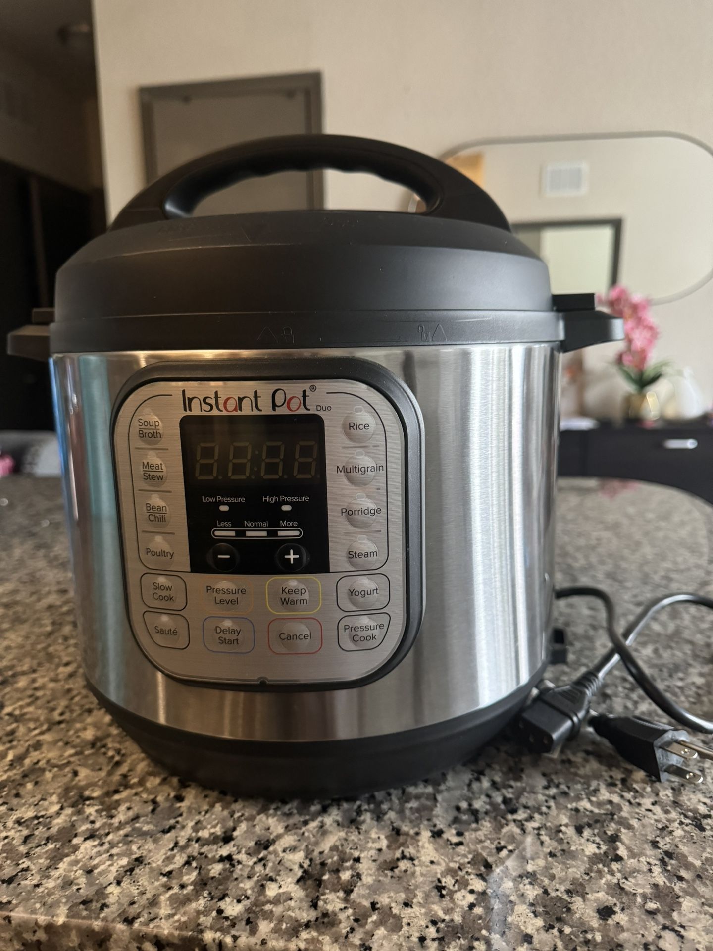 Instant Crock Pot