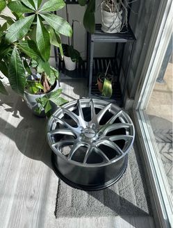 ( BRAND NEW ) Alzor style 040