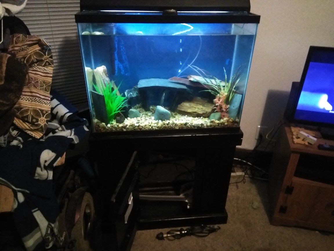 Very nice fish tank and stand with plenty of extras asking 100