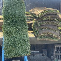 Grass And Sprinklers $3 Per Sq/ Ft