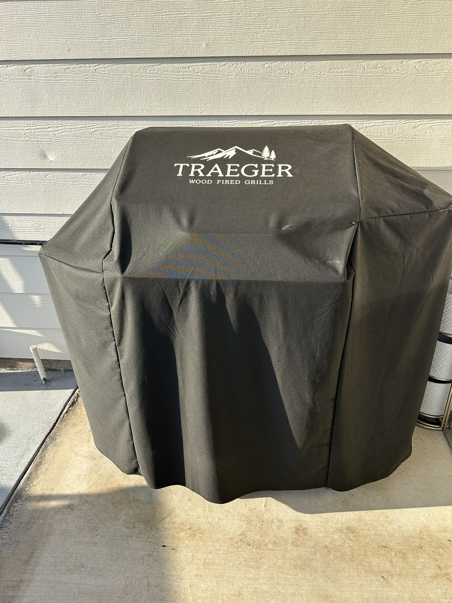 Traeger Grill 