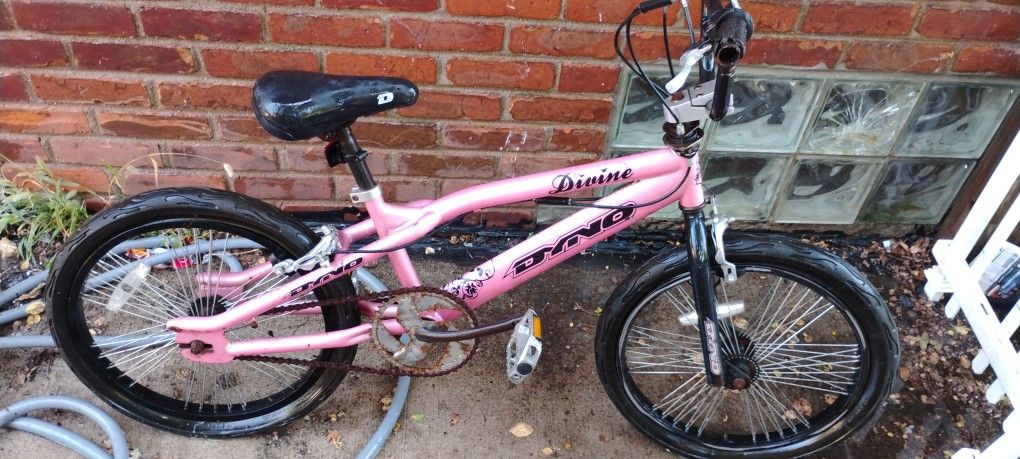 I Have A Dyno Divine BMX Vintage 20 Bike Asking $60 Obo Needs A Lil Work