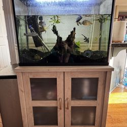 55 Gallon Tank And Stand 