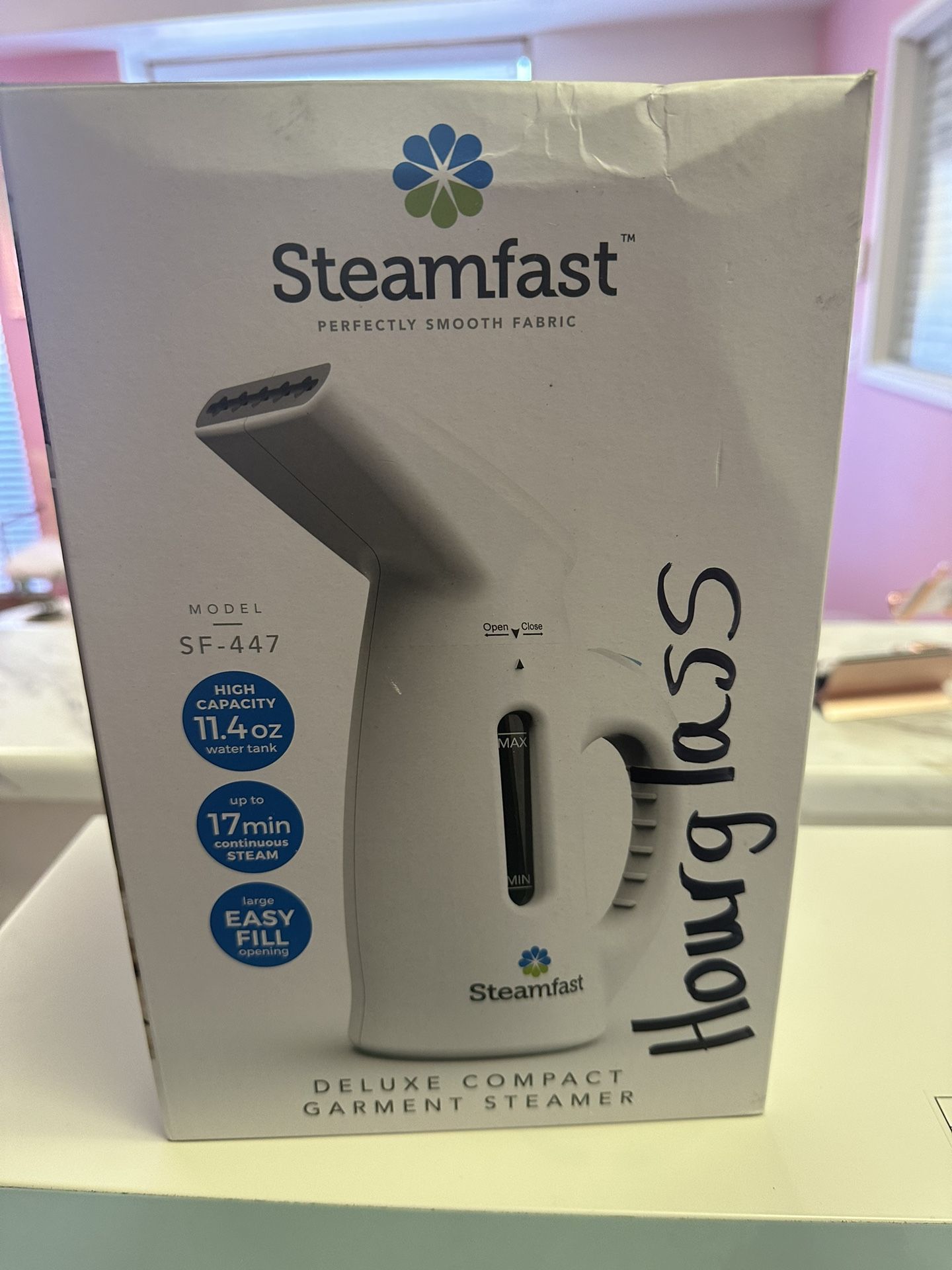 Garment Steamer