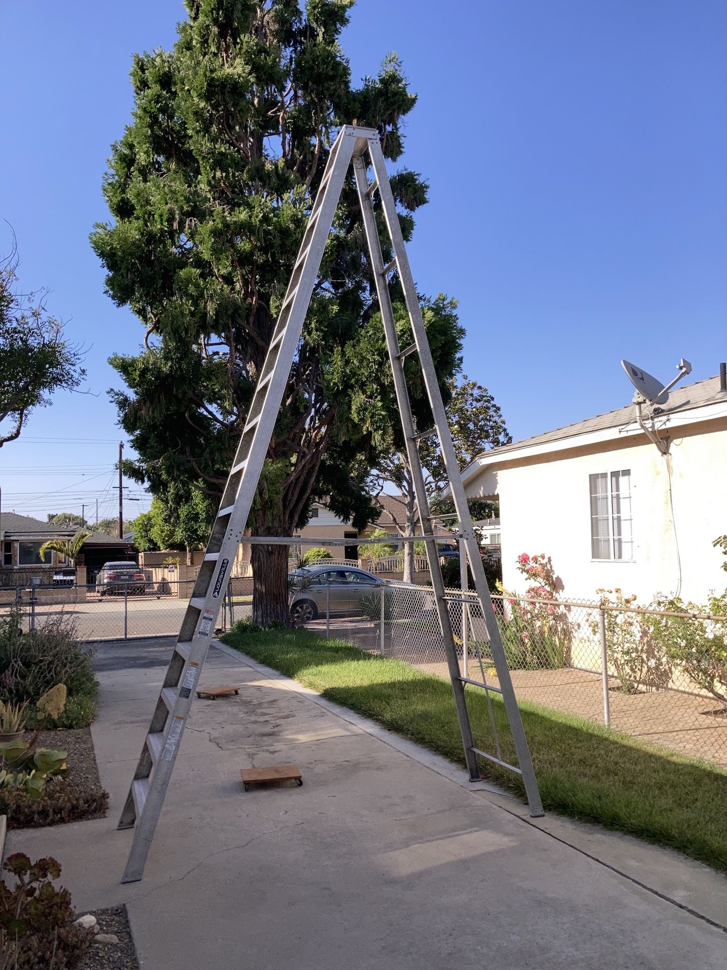 Step Ladder