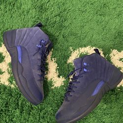 Jordan 12