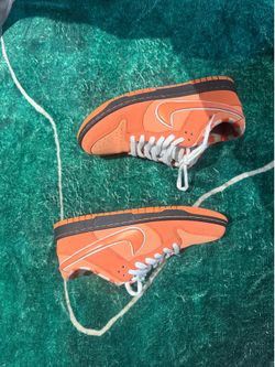 Nike dunk concepts