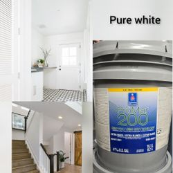 New 5 gallon interior paint 