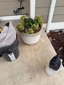 Free Cement Flower Pots