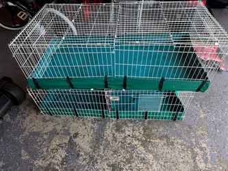 Guinea pig cages