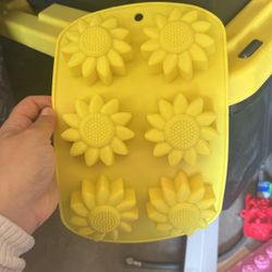 Silicone Molds 