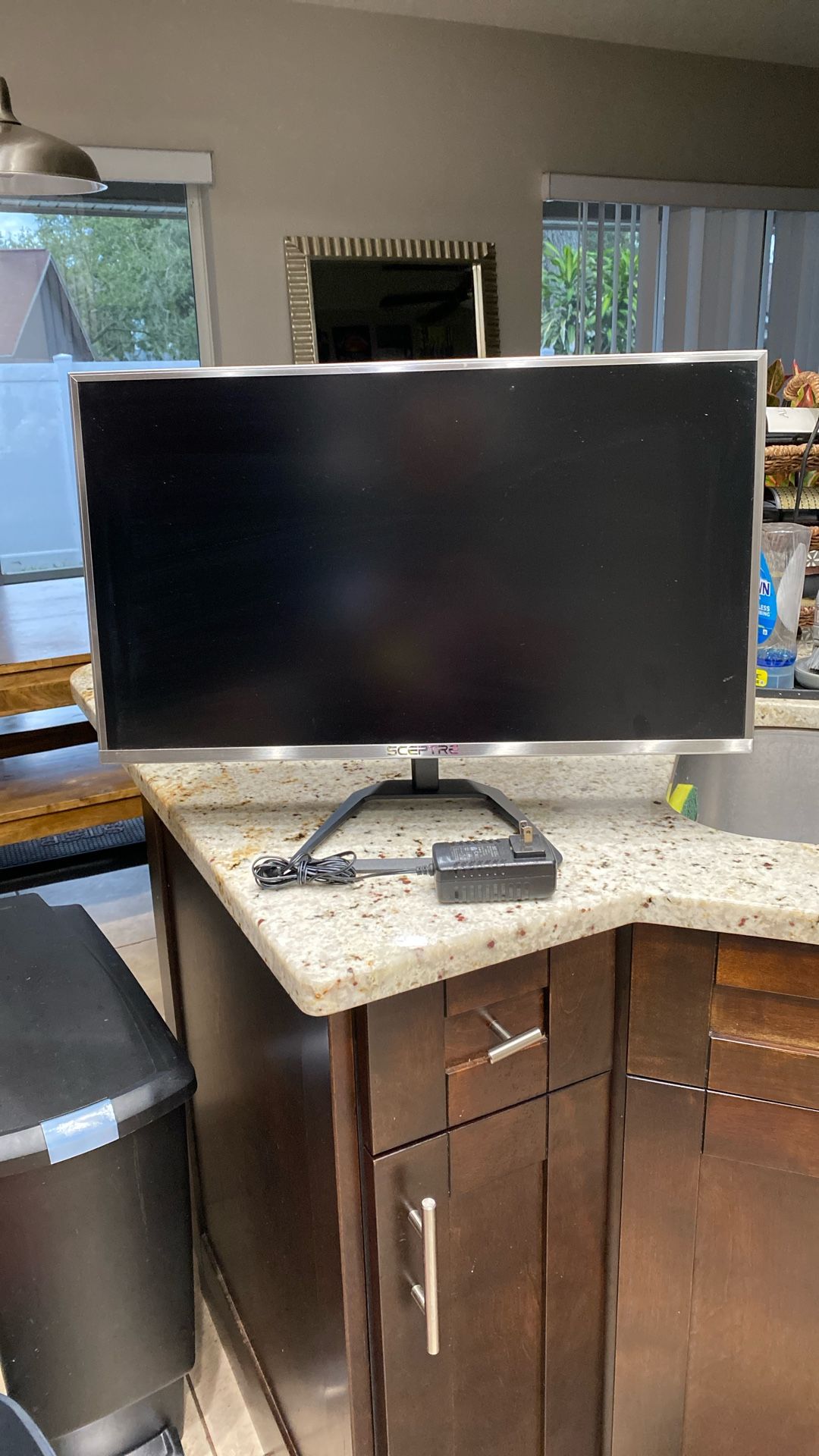 Sceptre Gaming Monitor