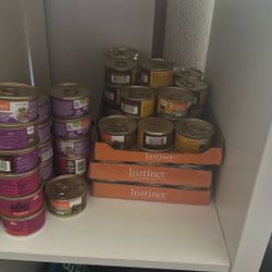 Cat Wet Food