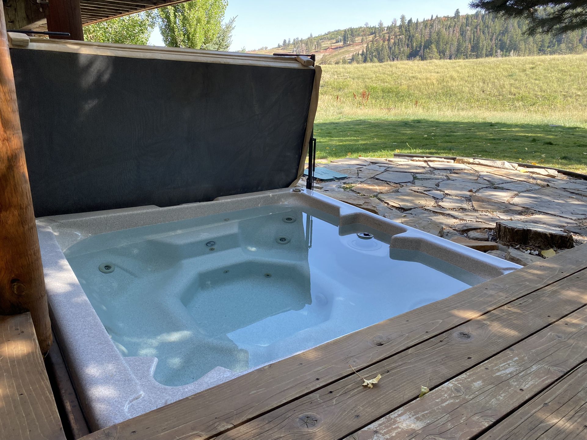 Hot Tub (6-person 350-gallon w/new pump)- works perfectly!