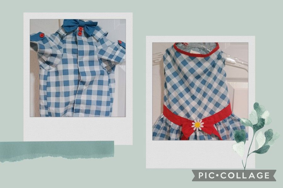 Dress And A Matching Shirt For Your Girl And Boy Dog