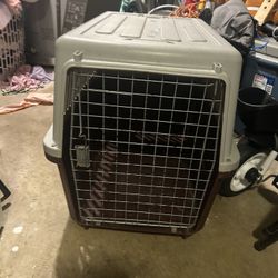 Pet Carrier