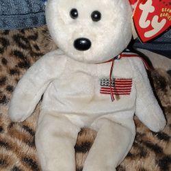 America TY Beanie 2001 ..$75... Half Of The Online Price 
