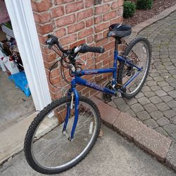 Used Bicycle 