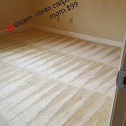 Steam Carpet Cleaner