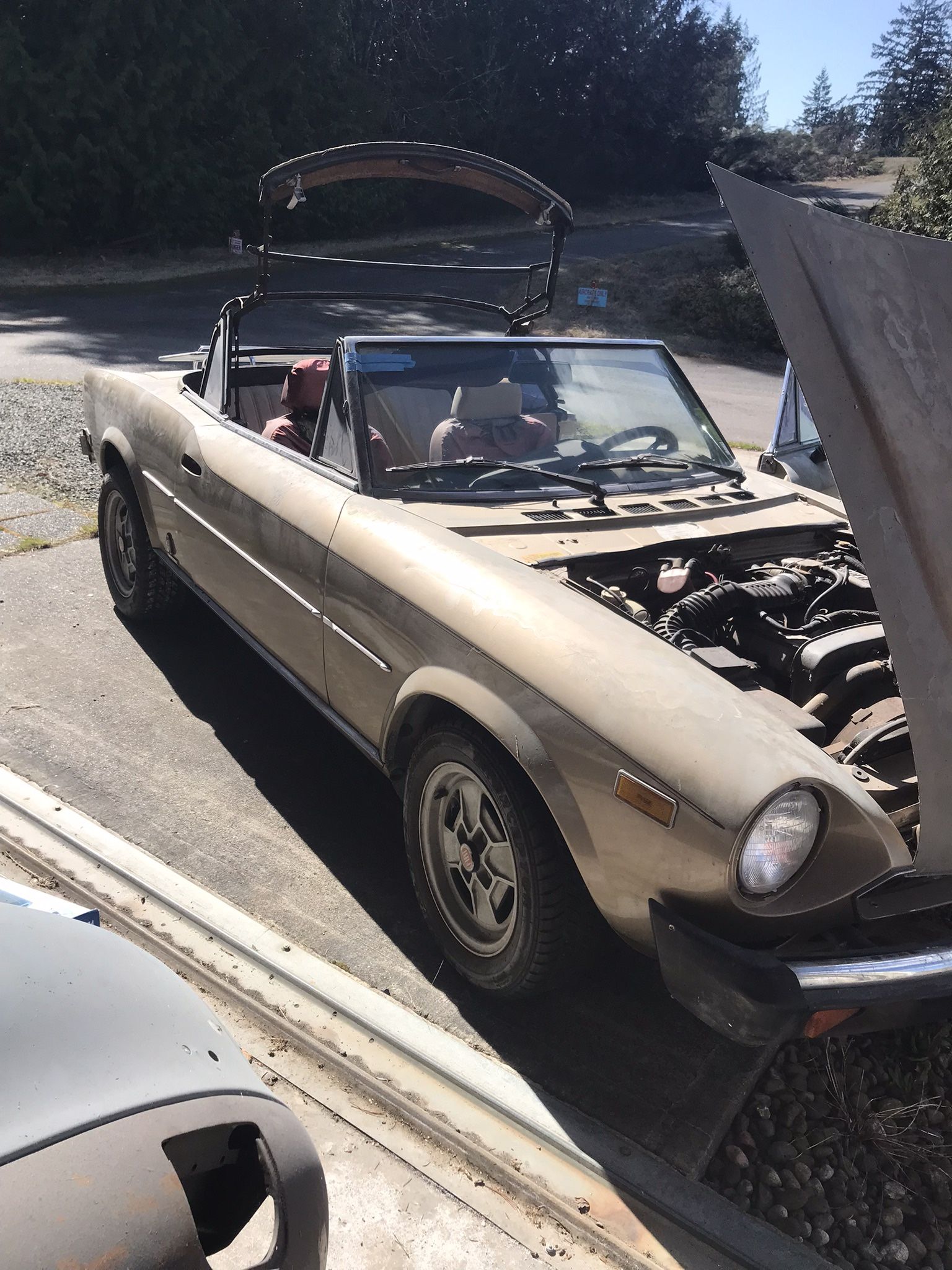1981 Fiat Spider