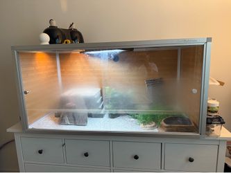 Reptile tank