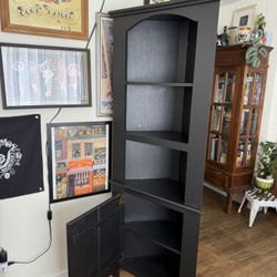 Triangular Corner Shelf/Bookcase