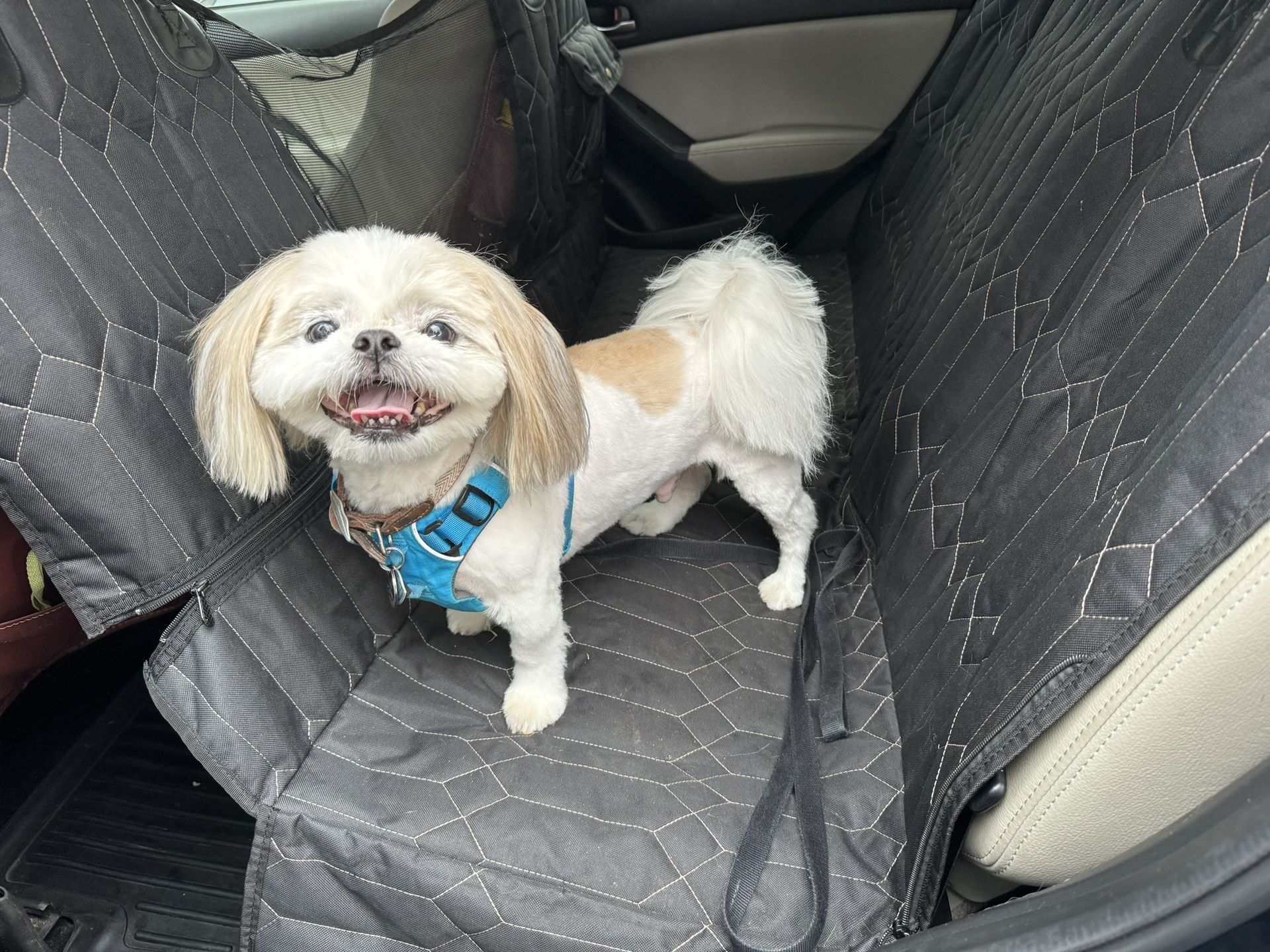 Pet Car Liner