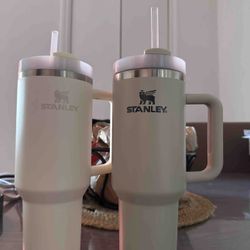 40oz Stanley 