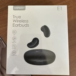 True Wireless Earbuds 