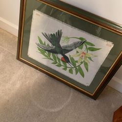 Bird Framed Picture 