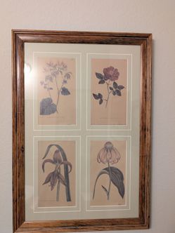 Vintage 1790s Framed Botanical Print Set - Matched Pair (Limited Edition #9/1000)