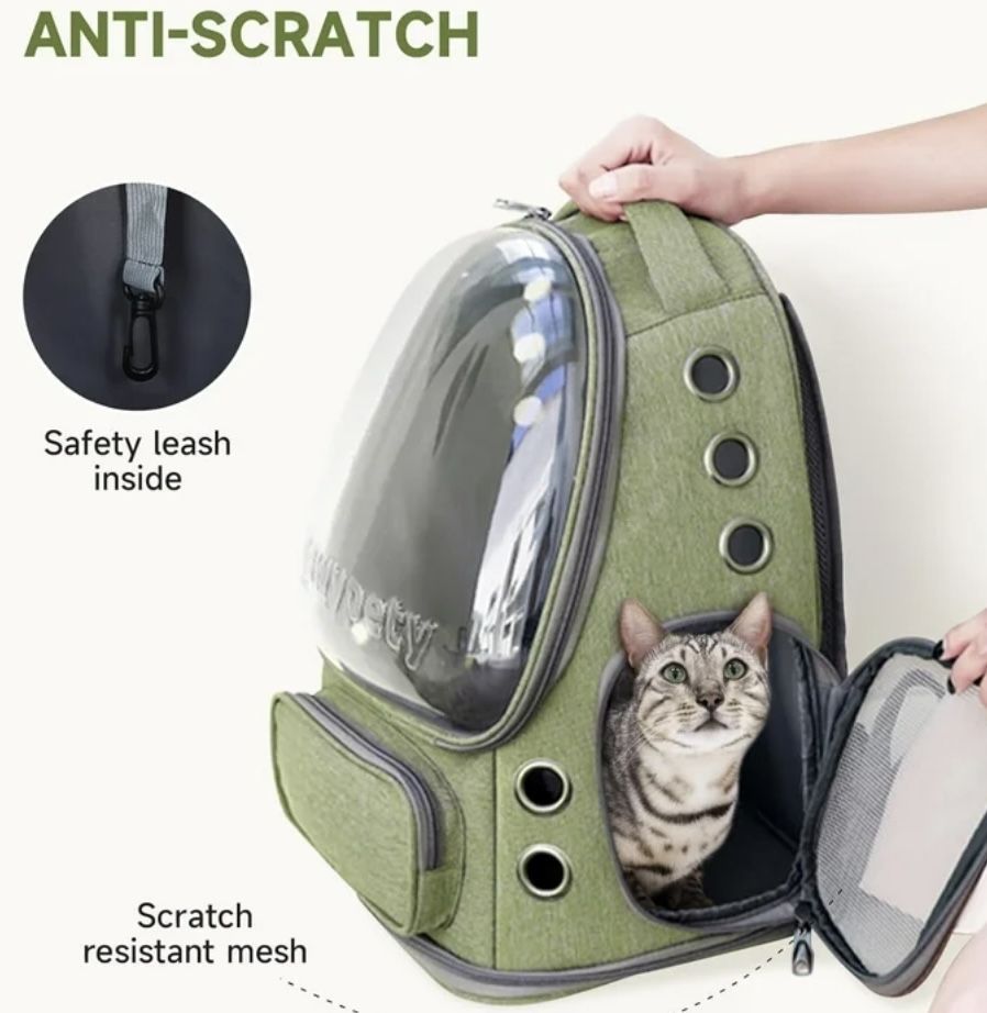 Cat Backpack