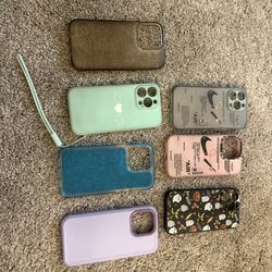 iPhone 13 Pro Cases 