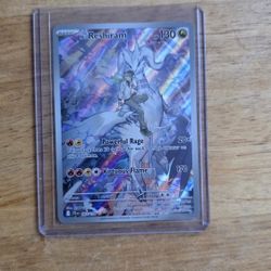 Reshiram Journey Together 
